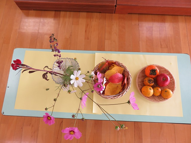 季節の花や果物の紹介（コスモスや柿、みかんなど）